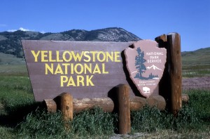 large wooden sign at the entrance of park stating Yellowstone National Park