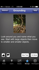 grounding screenshot with a picture of a tree and it says look around you and name what you see. Start with large objects then move to smaller and smaller objects