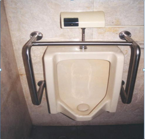 accessible urinal with grab bars on either side