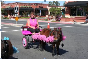ABI Survivor Kristi sitting in a pink decorated carriage being pulled by a miniature horse