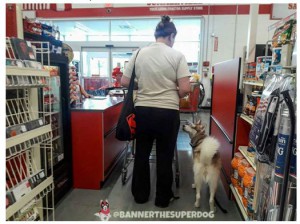 Banner the Super Service Dog with owner at check out 
