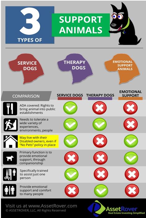 graph  showing the difference between service dogs, therapy dogs, and emotional support animals 