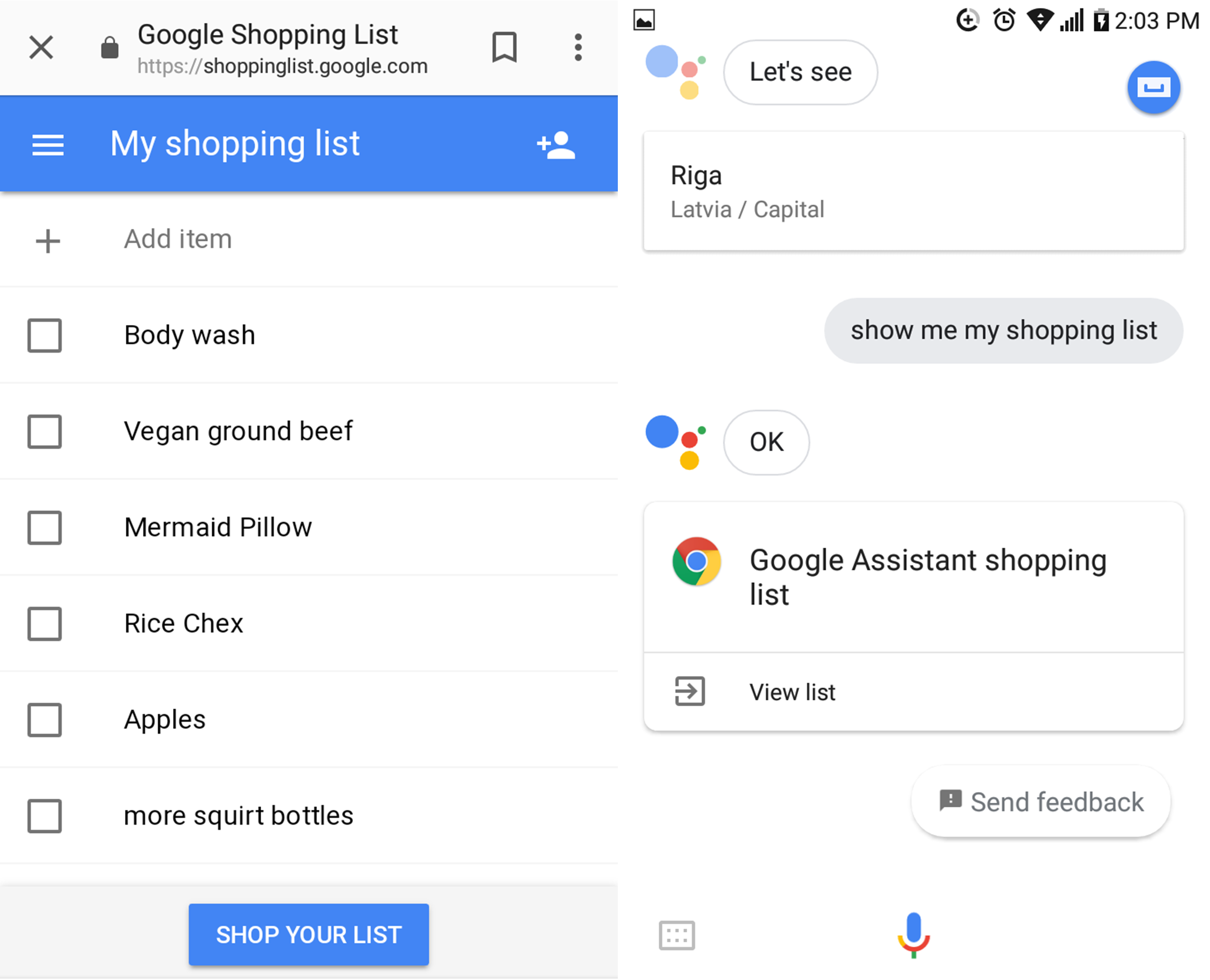 Image is a Google shopping check-list and a conversation with the Google Assistant asking it to show a shopping list