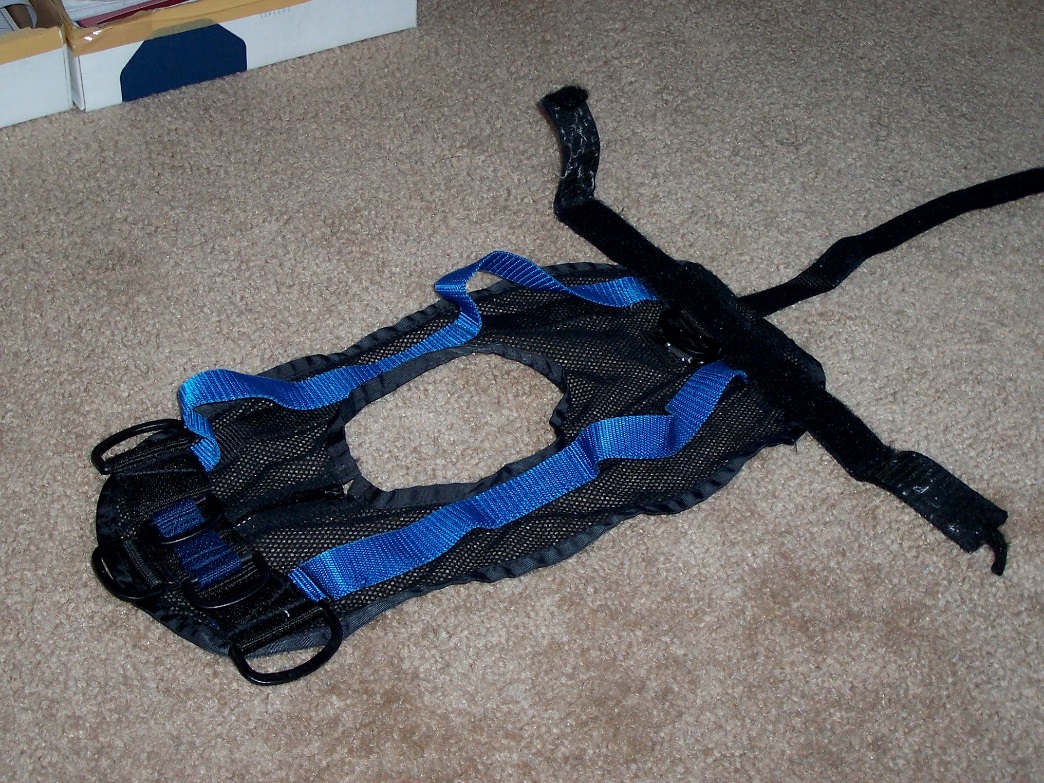 Picture of a small black safety harness with lifting straps