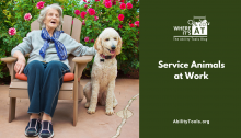 A smiling older woman sits in a patio filled with flowers with a poodle at her side. Under the Where it's AT logo, the text reads Service Animals at Work - abilitytools.org