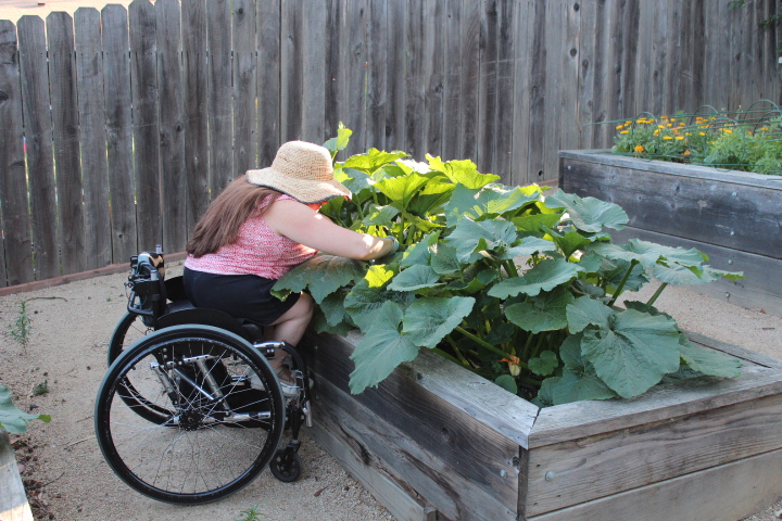 Woman in a wheelchair tending to her accessible garden.