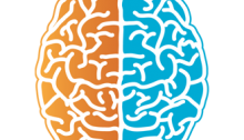 diagram of brain with the left side colored orange and the right side colored blue