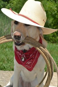 Photo of Arianne aka Ari in a cowboy hat on top of her head and red bandanna around her neck. In her mouth, she is holding thick rope that is looped multiple times in a circle. 