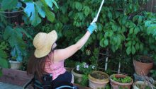 woman in wheelchair with floppy hat using a grab tool.