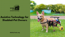 A small panting dog using a walking assistance device on a grassy outdoor spot. Under the Where it's AT logo, the text reads Assistive Technology for Disabled-Pet Owners - abilitytools.org