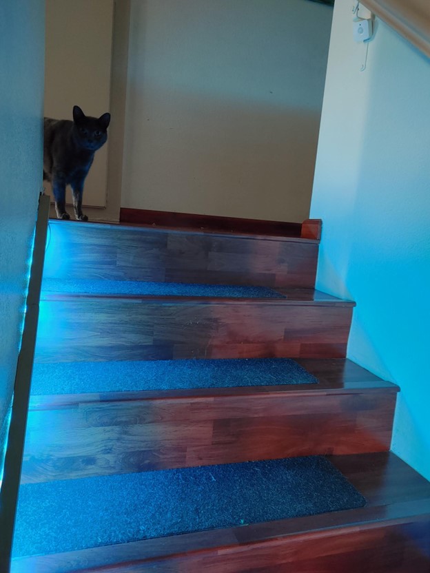 Stairs with a blue lit LED light strip to the left and a motion sensor in the upper right corner beneath the handrail. 
